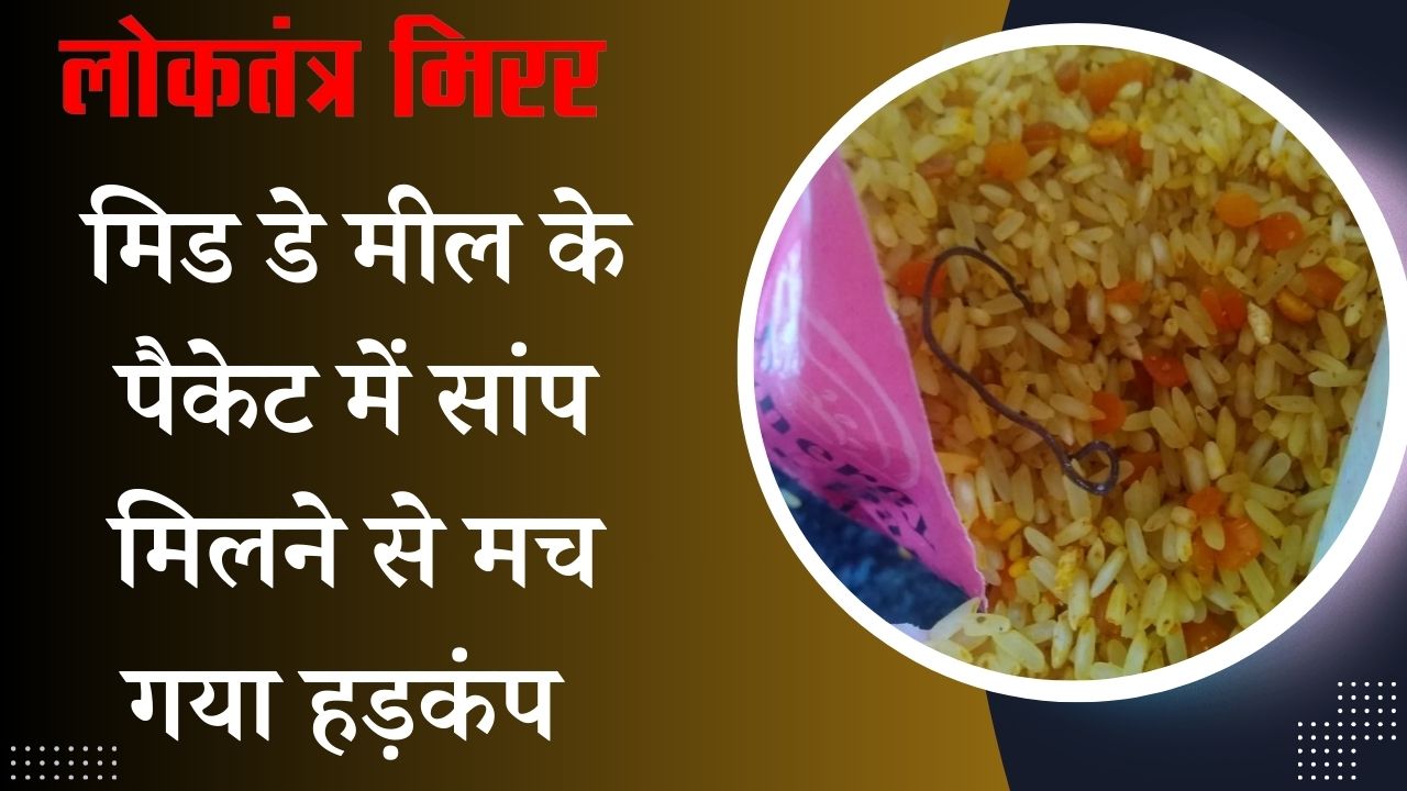 मिड डे मील के पैकेट में सांप मिलने से मच गया हड़कंप