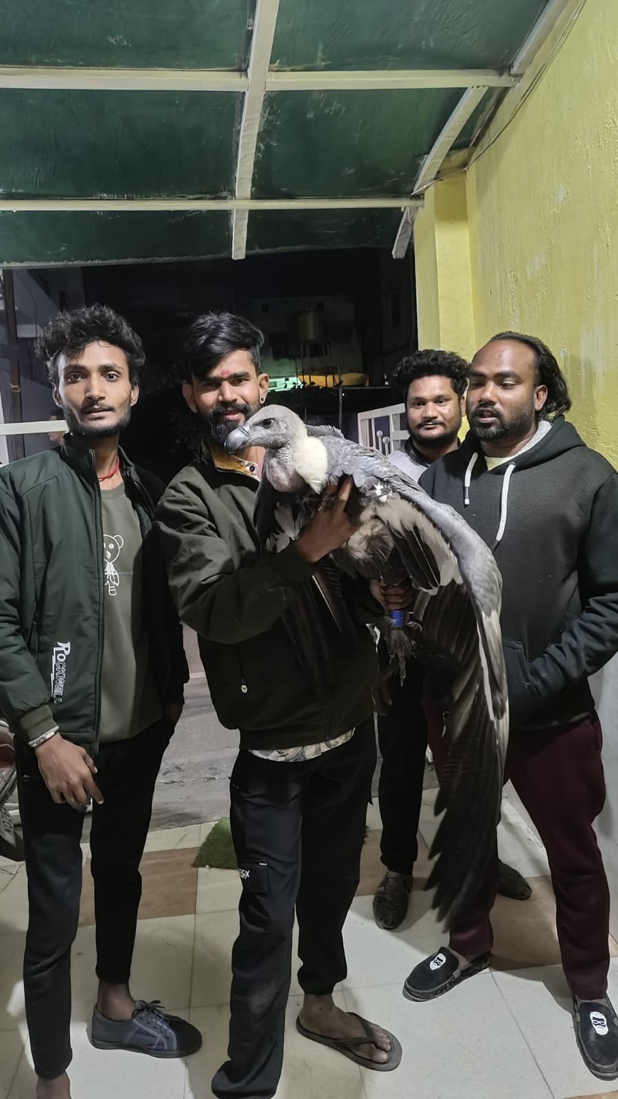 विलुप्त हो रहे गिद्ध को मिला जीवनदान