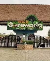 गोरेवाड़ा अफ्रीकन सफारी के लिए 513 करोड़ रुपए मंजूर